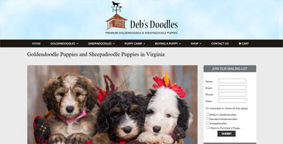 Debs Doodles Goldendoodle Puppies