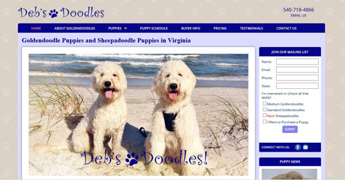 Custom Websites from Kindred Tails