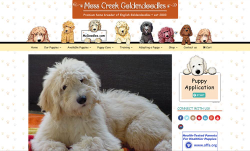 Moss Creek Goldendoodles Goldendoodle Puppies