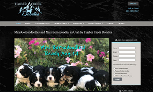 Timber Creek Doodles Goldendoodle Puppies